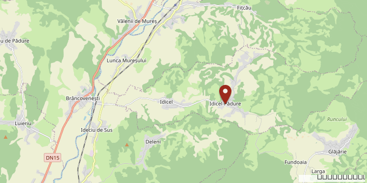 Map showing Idicel Pădure